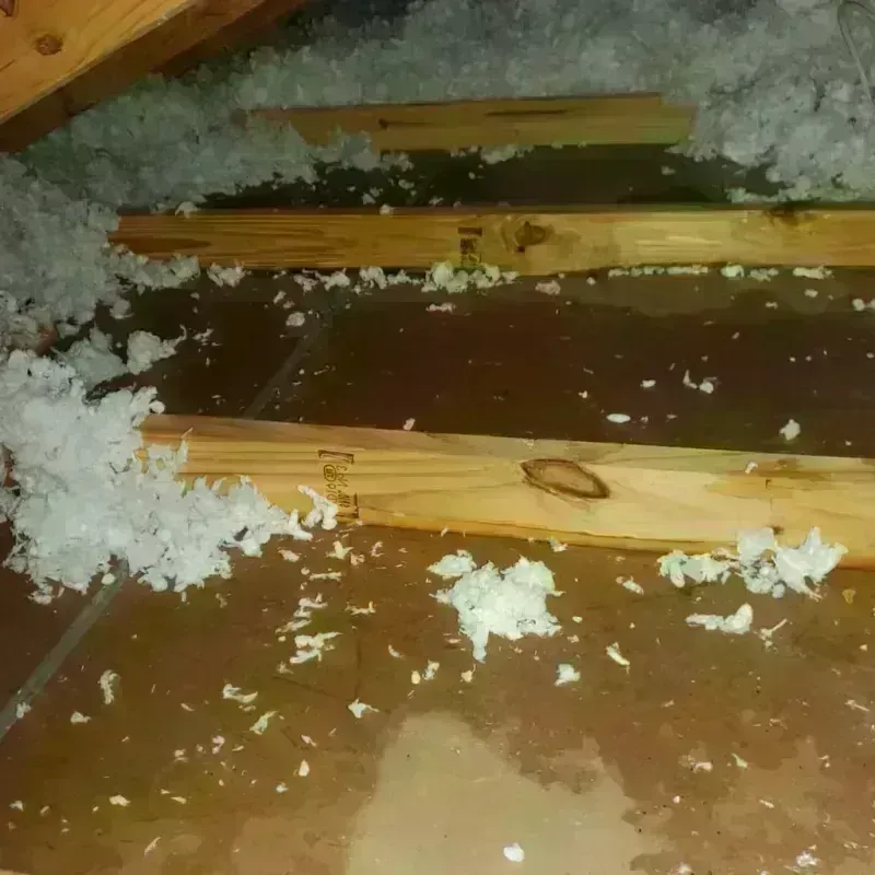 Attic Water Damage in Norris City, IL