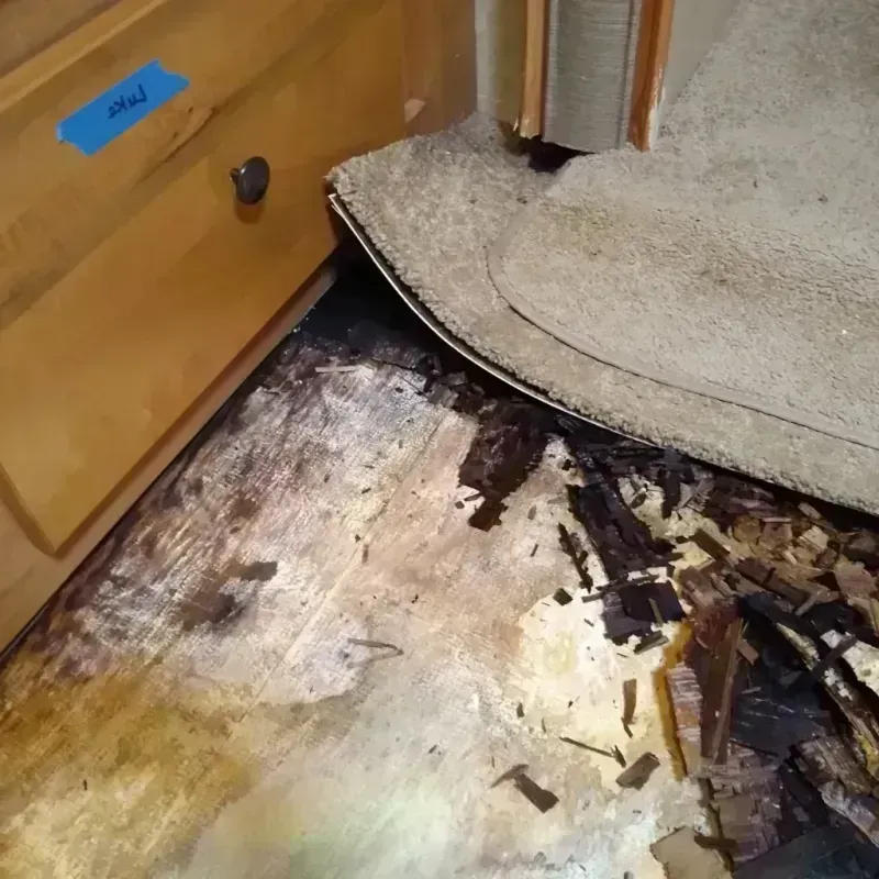 Wood Floor Water Damage in Norris City, IL